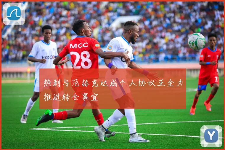 热刺与范赫克达成个人协议正全力推进转会事宜