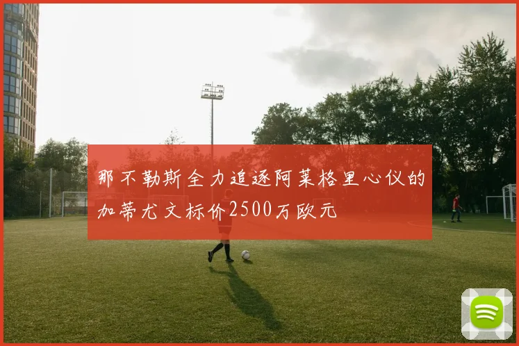 那不勒斯全力追逐阿莱格里心仪的加蒂尤文标价2500万欧元